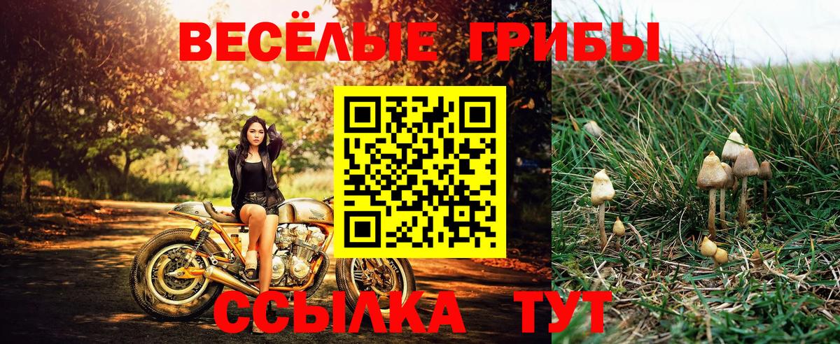Трёхгорный  Галлюциногенные грибы Cubensis  Псилоцибиновые грибы Cubensis  Вход с VPN 