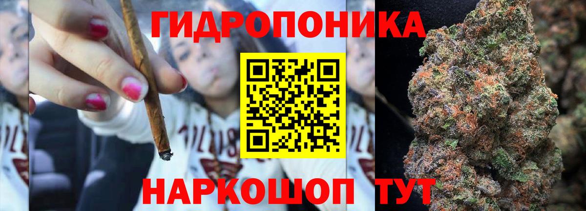 Бошки марихуана гибрид  Вход с VPN  Трёхгорный  Шишки марихуана Bruce Banner  Конопля THC 21% 